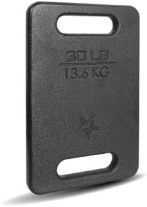 Yes4All Cast Iron Rucking Weight for Backpack, Hiking Resistance Workout Weight Plate Yes4All Cast Iron Rucking Weight