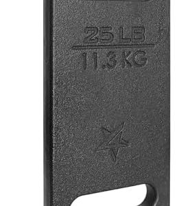 Yes4All Cast Iron Rucking Weight 10 LB for Backpack, Resistance Workout, Hiking Yes4All Cast Iron Rucking Weight 10 LB